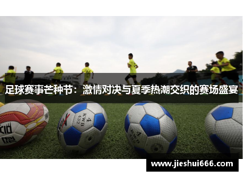 足球赛事芒种节：激情对决与夏季热潮交织的赛场盛宴
