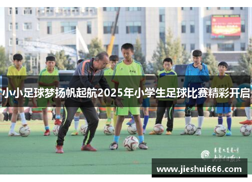 小小足球梦扬帆起航2025年小学生足球比赛精彩开启
