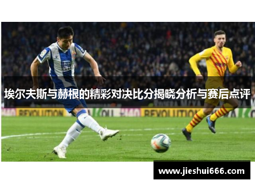 埃尔夫斯与赫根的精彩对决比分揭晓分析与赛后点评