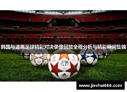 韩国与波黑足球精彩对决录像回放全程分析与精彩瞬间集锦