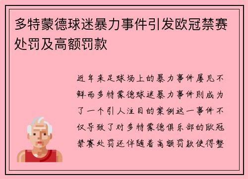 多特蒙德球迷暴力事件引发欧冠禁赛处罚及高额罚款